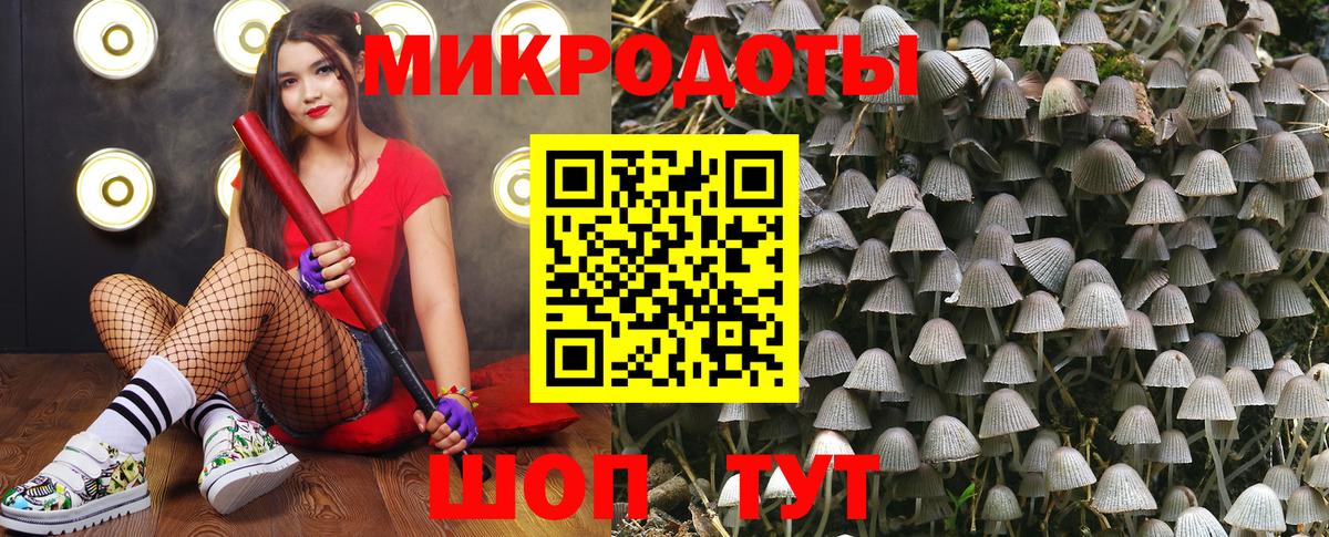 закладка  Псилоцибиновые грибы мицелий  Вход с VPN  Галлюциногенные грибы ЛСД  Сокол 